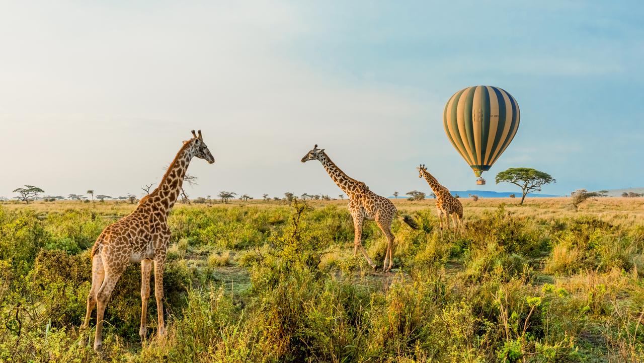 Tanzania and uganda safari