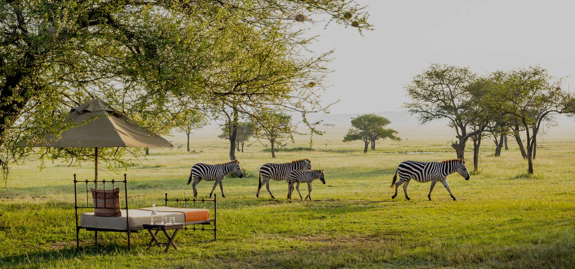 How much does the Tanzania safari cost