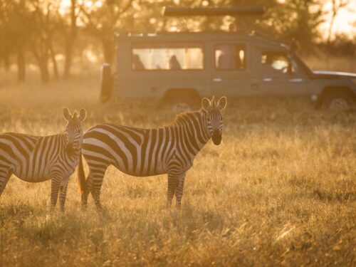 4-Day Lake Manyara , Ngorongoro & Serengeti NP budget Tour