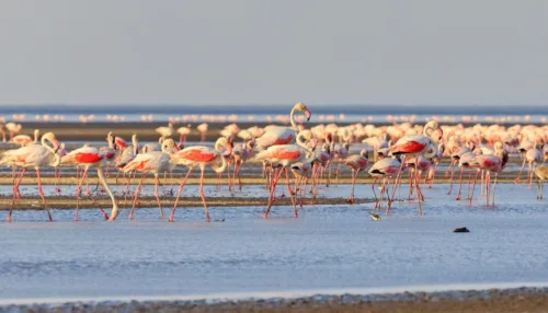 4-Day Lake Natron, Serengeti, Ngorongoro & Tarangire