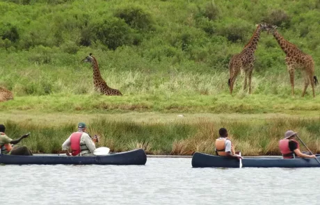 Arusha National park