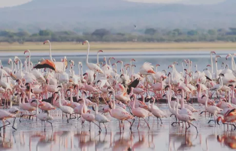 lake manyara National park