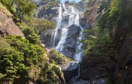 Udzungwa Mountains National Park