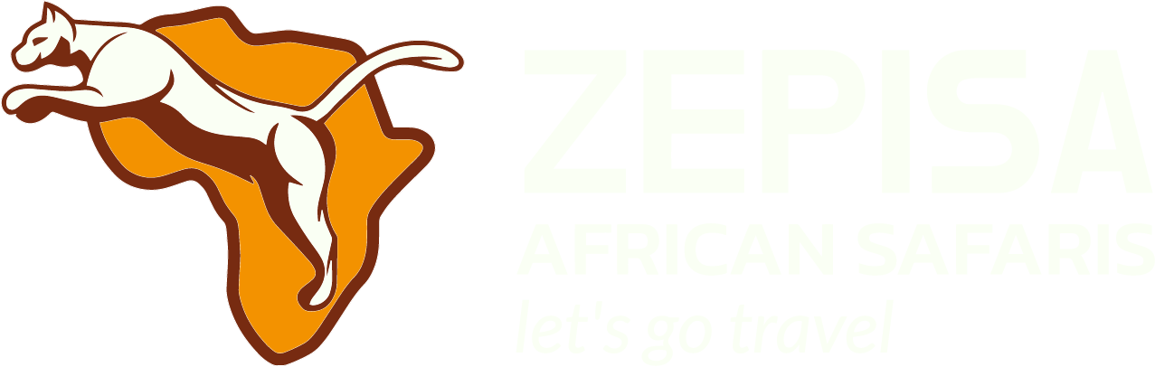 resa tanzania safari zanzibar