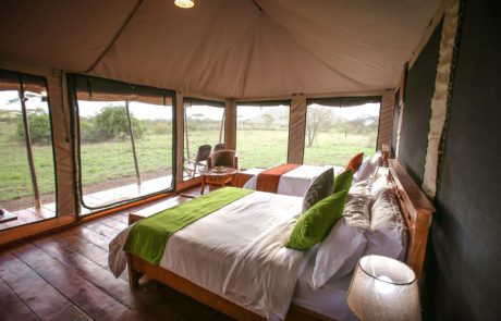 Embalakai Serengeti Camp, nestled in the heart of the central Serengeti, offers a truly luxurious experience. The camp features a collection of stunning luxury tents that have been carefully designed to provide the utmost comfort to its guests.