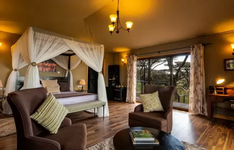 Ngorongoro Lion's Paw Camp