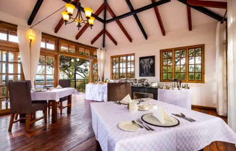 Ngorongoro Lion's Paw Camp