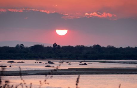 Explore the Beauty of Nyerere National Park