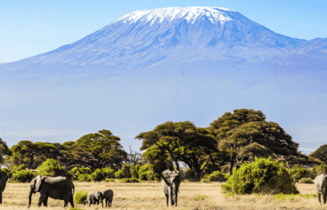 Mount Kilimanjaro National Park