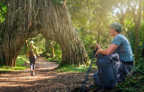 Explore the Beauty of Arusha National Park in Tanzania**