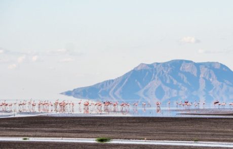 Lake Natron