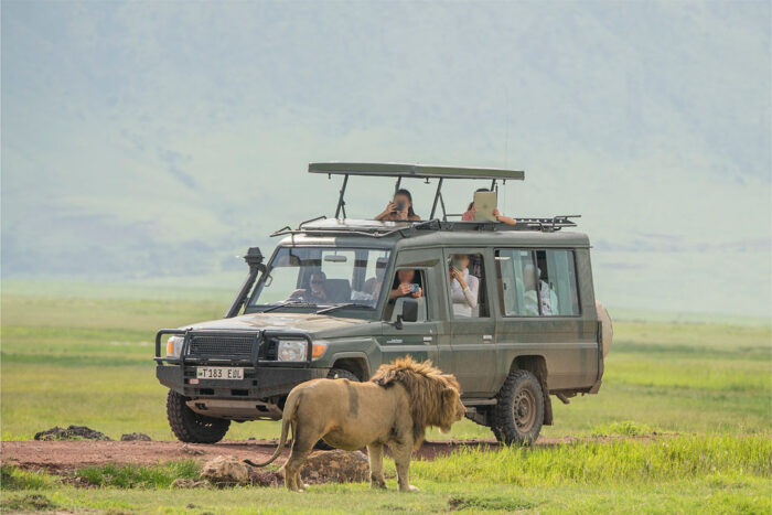 9 Day Tanzania Luxury Safari-All Inclusive