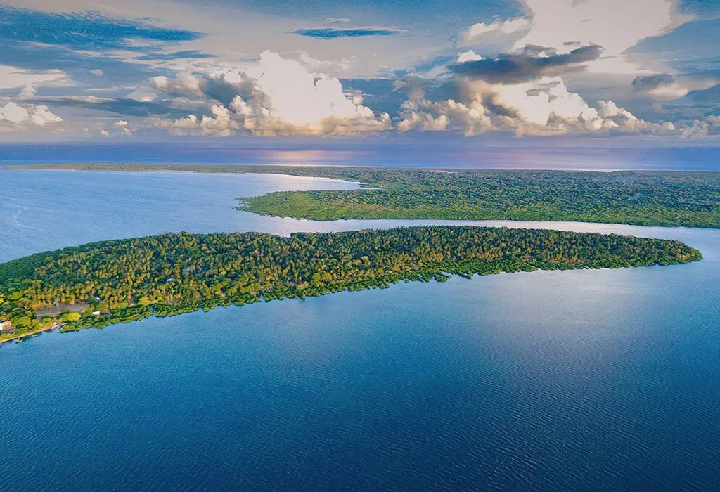 Mafia-Island-Marine-park