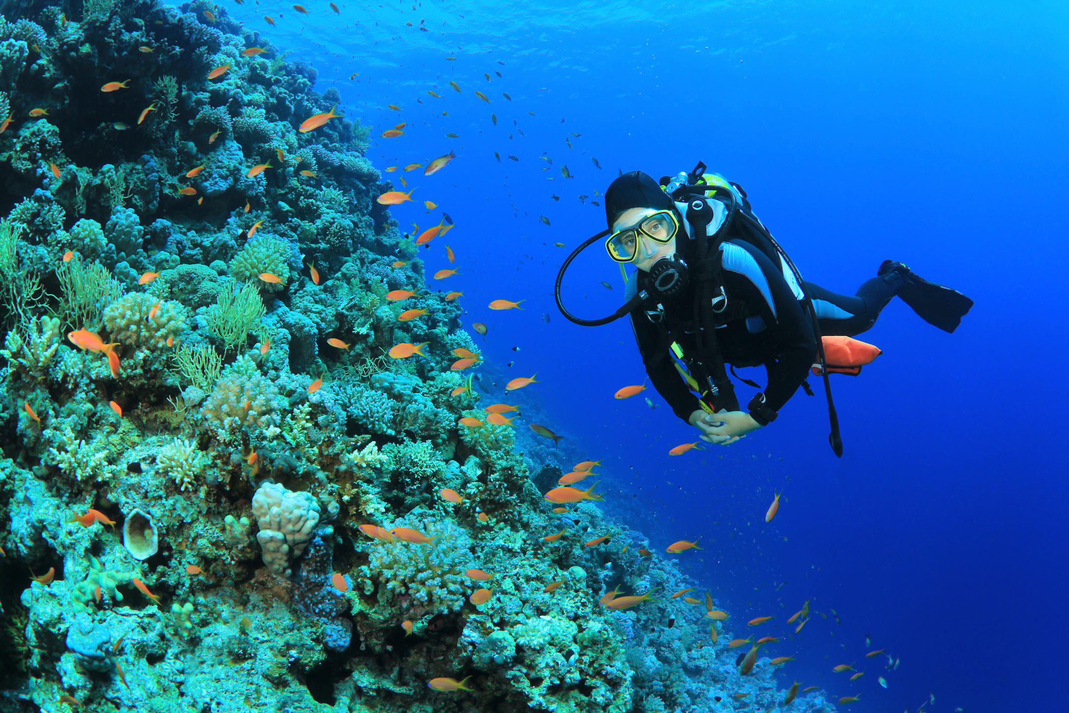 zanzibar-mnemba-island-experience-scuba-diver-collections-3000w