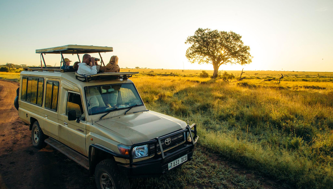 pop-up-roof-safari-vehicle (1) (1)